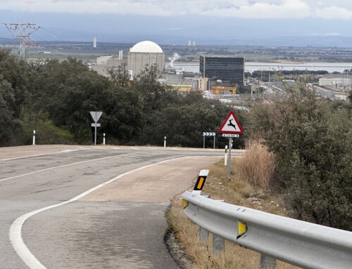 La ministra Aagesen dice que el Gobierno no ha aumentado impuestos a las nucleares: «La mal llamada Tasa Enresa no es un impuesto»