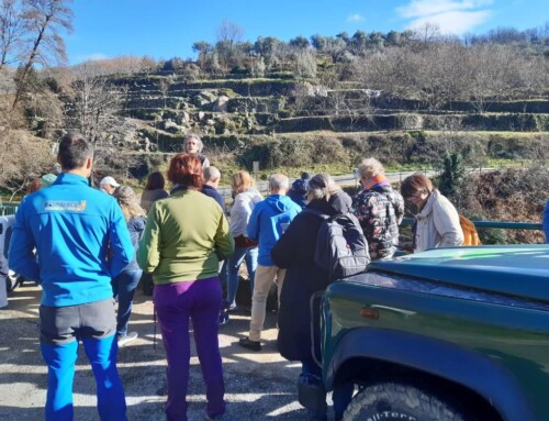 Más de 30 agentes de viajes nacionales e internacionales y ponentes de FIO recorren Extremadura para conocer su oferta turística