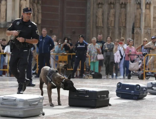 Una veintena de asociaciones piden formación específica en defensa animal para Policía Local