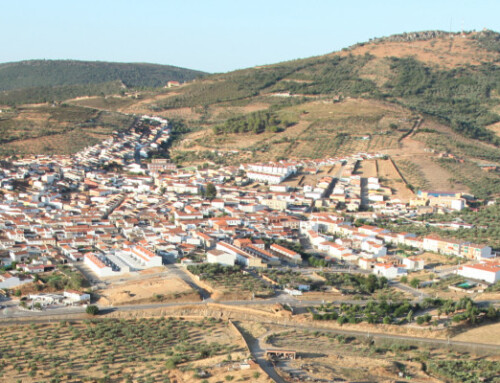 La Junta presenta el número 14 de Memorias de Arqueología Extremeña dedicado a ‘La casa de la Ayuela en el tiempo del Tesoro de Aliseda’