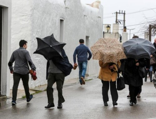 El invierno en Extremadura ha sido húmedo y muy cálido