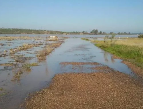 Un vehículo con 5 ocupantes era arrastrado por el agua tras la crecida del Guadámez en Don Benito