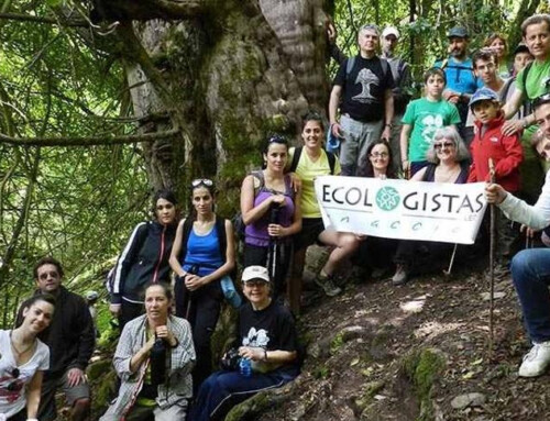 Ecologistas en Acción de Cáceres retoma el X Ciclo de Charlas Verdes con el I Encuentro entre la juventud y las asociaciones, el próximo 12 de marzo, en la Biblioteca Pública de Cáceres «Rodríguez Moñino/María Brey»