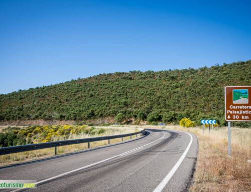 La Junta de Extremadura licitará de abril a junio obras en carreteras por valor de 25 millones de euros