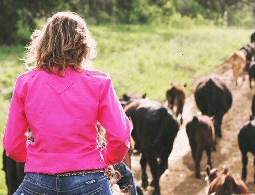 Las mujeres rurales centran desde este sábado una campaña de la Diputación de Cáceres con motivo del 8M